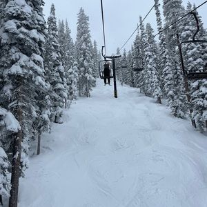 Meet your Posher, Molly